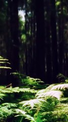 Falling for Tarzan - Full Movie