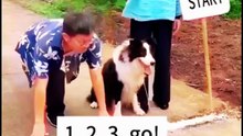 Race a Dog for Drinks? Wife’s 3 Ridiculous Challenges Are Hilarious! 🤣 Draw Circle Bare-Handed + 4-Legged Showdown—I Admit the Cheating!