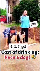 Race a Dog for Drinks? Wife’s 3 Ridiculous Challenges Are Hilarious! 🤣 Draw Circle Bare-Handed + 4-Legged Showdown—I Admit the Cheating!