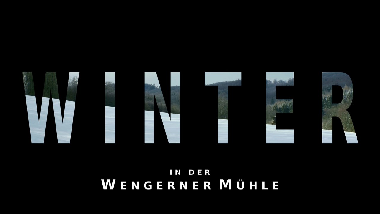 Winter an der Wengerner Mühle