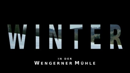 Winter an der Wengerner Mühle
