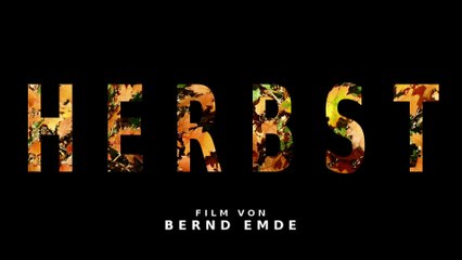 Herbst an der Wengerner Mühle