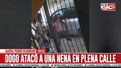 Video registra el momento en el que un Dogo ataca a una nena en plena calle