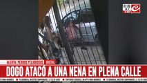 Video registra el momento en el que un Dogo ataca a una nena en plena calle