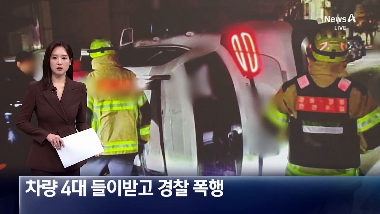 만취 운전자, 차량 4대 들이받고…경찰 폭행