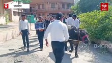 फैकल्टी नहीं मिलने से भड़के लॉ स्टूडेंट्स, यूनिवर्सिटी कैंपस में भैंस लेकर पहुंचे