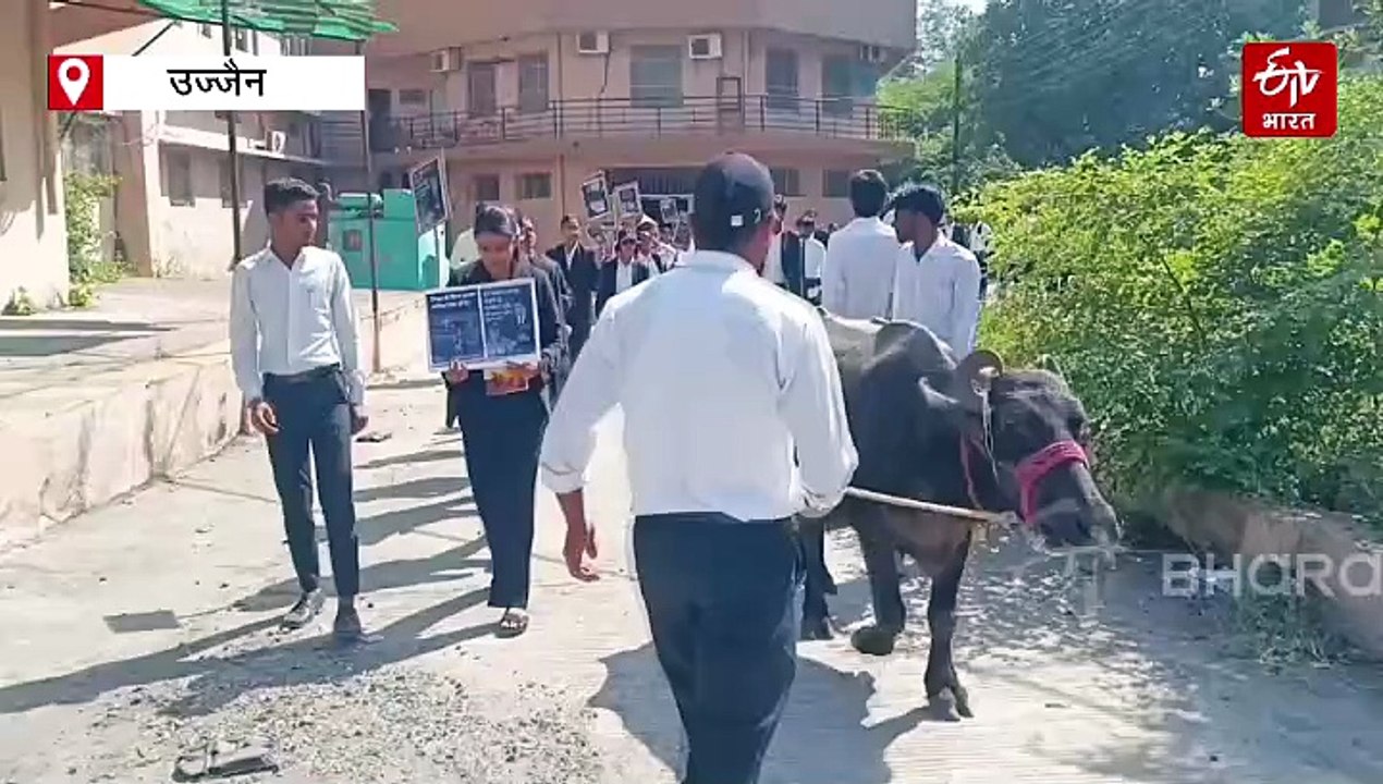 फैकल्टी नहीं मिलने से भड़के लॉ स्टूडेंट्स, यूनिवर्सिटी कैंपस में भैंस लेकर पहुंचे