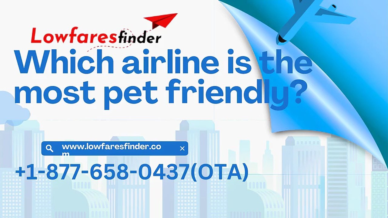 Which airline is the most pet friendly