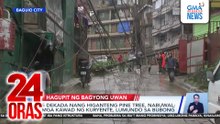 5 dekada nang higanteng pine tree, nabuwal; mga kawad ng kuryente, lumundo sa bubong | 24 Oras