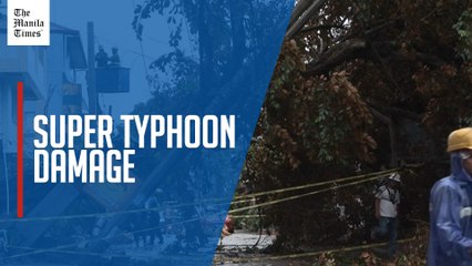 Trees uprooted in Manila after Super Typhoon hits Philippines
