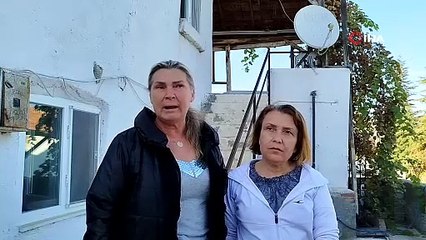 Evin çatısına yuva yapan eşek arıları hastanelik etti