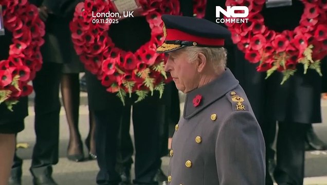 El rey Carlos III y el príncipe Guillermo honran a los caídos en una ceremonia en Londres