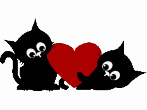 SERDAR ŞİMŞEK KARAKEDİ MÜZİKLİ KOMİK KARİKATÜR GİF