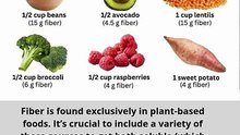 🌾 6 Categories of High-Fiber Foods