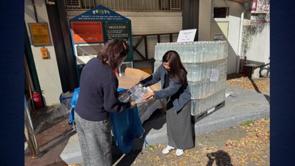 [경기] 깔따구 유충 발견...과천시, 정수시설 점검 진행 / YTN
