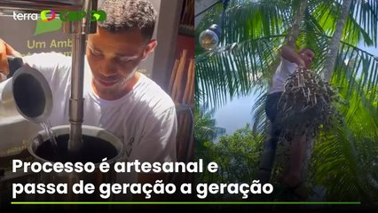 Escalada em árvore, colheita e muito carinho: veja como é feito o ‘verdadeiro’ açaí do Pará