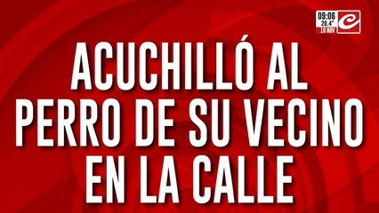 Pastor fuera de control asesinó al perro de su vecino en plena calle