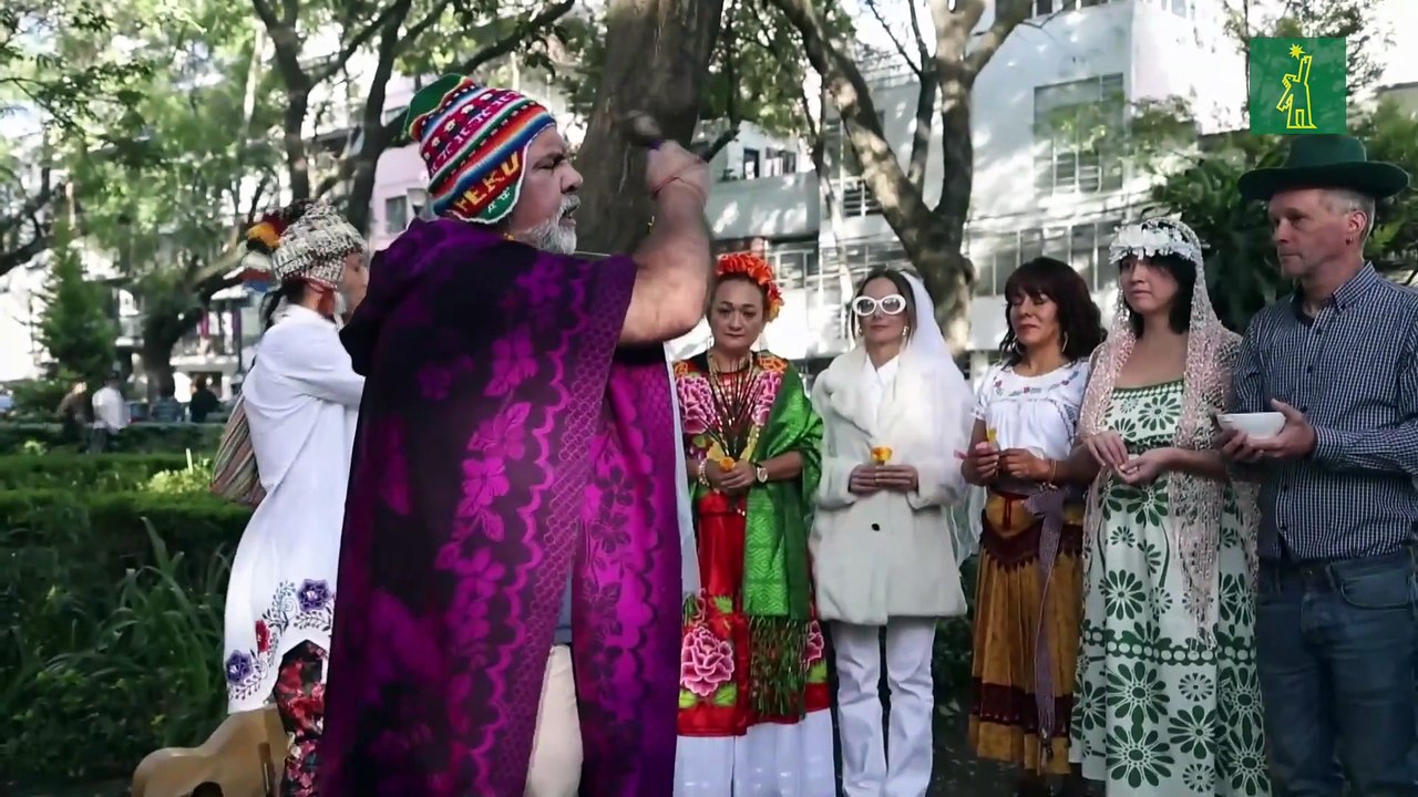 Una "boda" entre personas y árboles en México busca concienciar sobre la deforestación