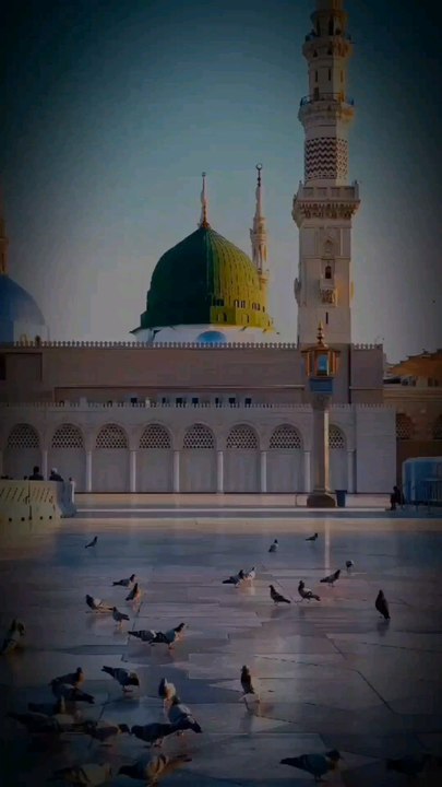 Heart Touching Recitation ♥️
