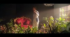 Haal e Dil - Umair Awan X Syed Zain Ali - Zara Mughal - Love Song - Official Music Video - 2025