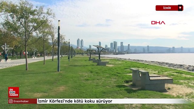 İzmir Körfezi'nde kötü koku sürüyor; denizin rengi kahverengiye döndü