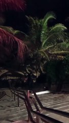 Vídeo: Suspeito de ligação com o CV é preso após tentar escapar da Guarda Municipal em praia de Salvador