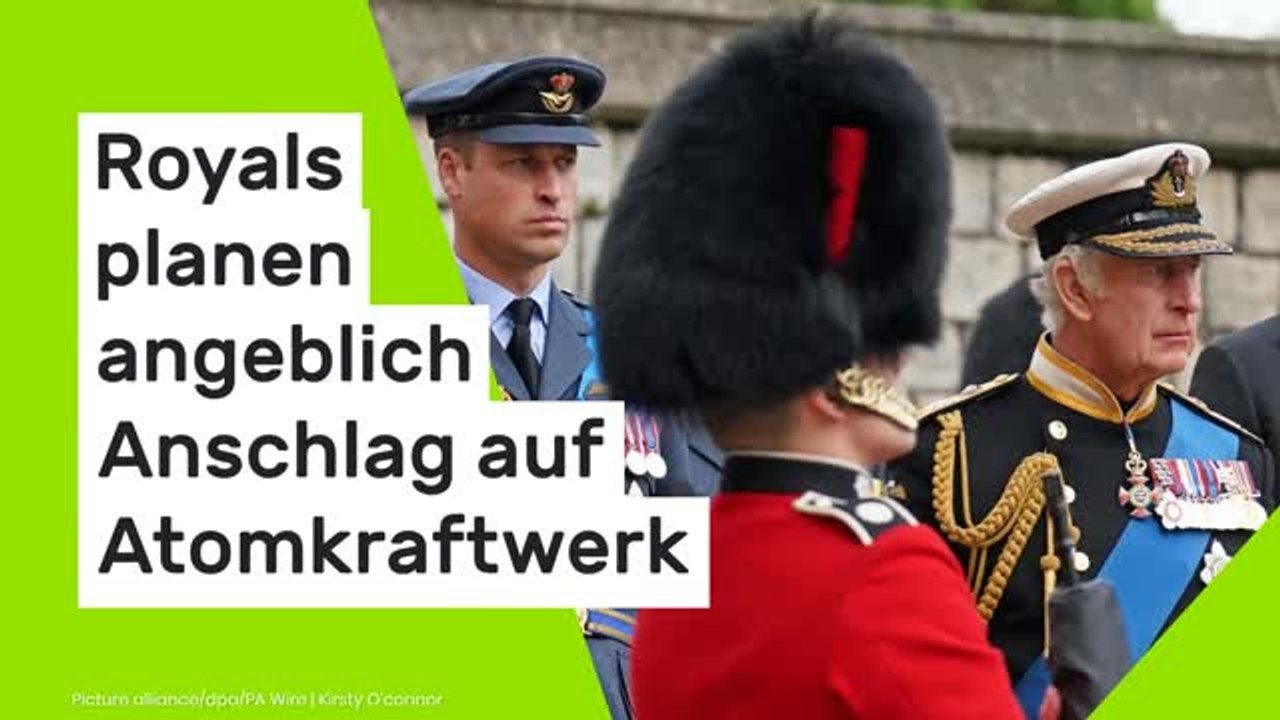 Putin-Propagandist spinnt bizarres Szenario: Royals planen angeblich Anschlag auf Atomkraftwerk