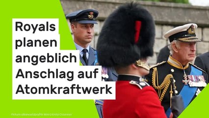 Putin-Propagandist spinnt bizarres Szenario: Royals planen angeblich Anschlag auf Atomkraftwerk
