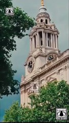 After I Gave Lost Billionaire Mouth-to-Mouth Full Movie