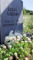 I Married Her as a Joke... Until I Saw Her Crying #romantic