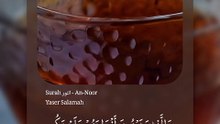 Surah النور - An-Noor Yaser Salamah