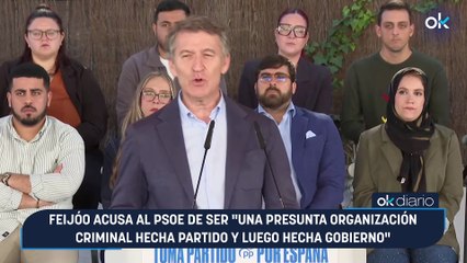 Feijóo acusa al PSOE de ser "una presunta organización criminal hecha partido y luego hecha Gobierno"