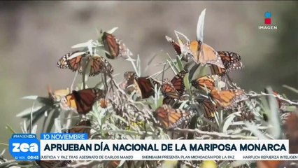 ¡Notas sociales con Francisco Zea!