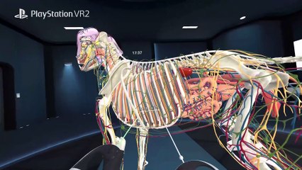 Animal Anatomy VR - Launch Trailer | PS VR2 Games
