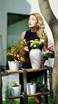 CEOs Daily Remarriage PlanRomantic - FULL #drama #short