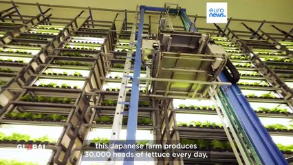 How Japan’s food tech innovations target global food security challenges