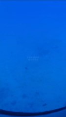 Seeing the wreck of a sunken ship on the bottom of the blue sea covered in coral