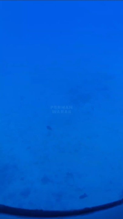 Seeing the wreck of a sunken ship on the bottom of the blue sea covered in coral