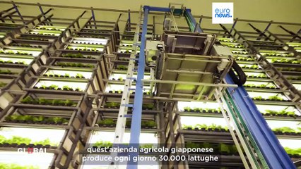 Le innovazioni giapponesi nel food tech per risolvere le sfide mondiali della sicurezza alimentare
