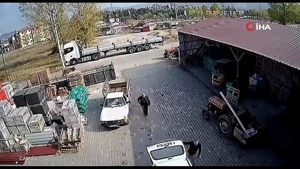 Başıboş İnek Depoya Girdi, Ortalığı Birbirine Kattı