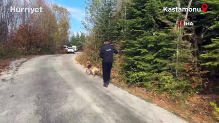 Kayıp anne ve oğlu için "daraltılmış baz çalışması"yla 1 kilometrelik alan belirlendi