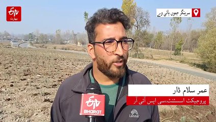 کشمیر کی لائف لائن پر لیونڈر پودوں کی بہار، سیاحت و معیشت کو فروغ ملنے کا امکان