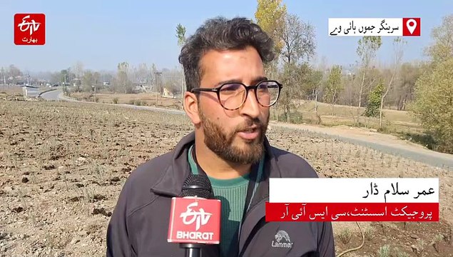 کشمیر کی لائف لائن پر لیونڈر پودوں کی بہار، سیاحت و معیشت کو فروغ ملنے کا امکان