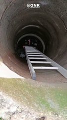 GNR Viana do Castelo salva 5 cachorrinhos