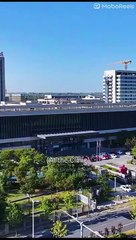 Scars Whisper Unspoken Vows dailymotion