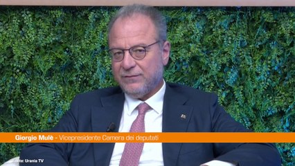 Malattie renali croniche, Mulè “Serve emendamento per finanziare screening"