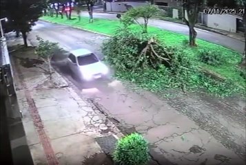 VIDEO: Motociclista choca contra árbol caído tras feroz tormenta y queda gravemente herido
