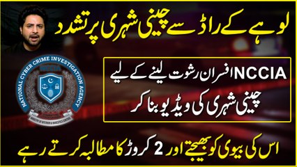 NCCIA Nay Pakistan Ka Nam Kesy Pori Dunya Main Kharab Kia? | Yasir Shami Expose Big Names | Daily Pakistan