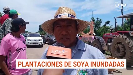 PLANTACIONES DE SOYA INUNDADAS