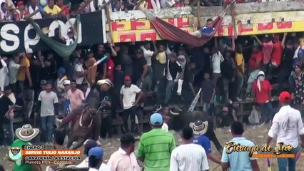 Corralejas Ciénaga de Oro 2025 | Toros de Servio T. Narajo